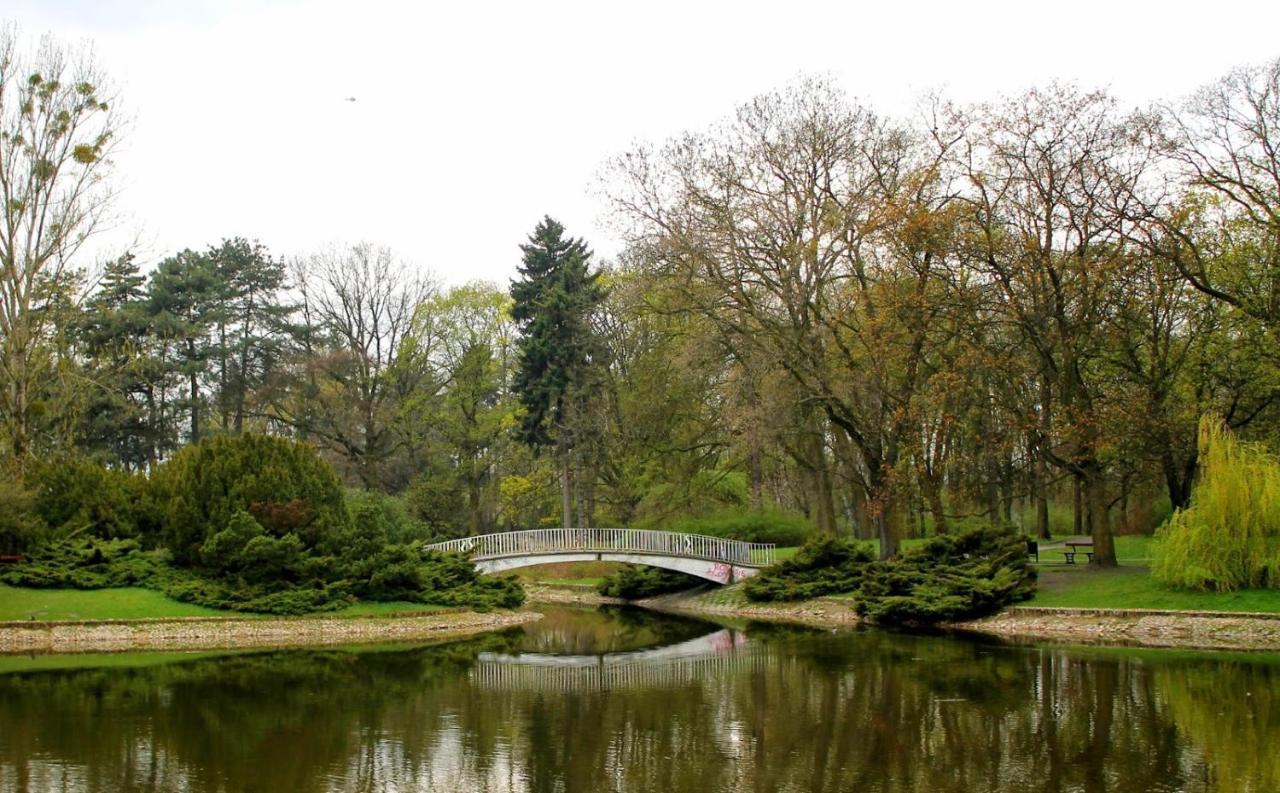 Lumina Apart Near Moniuszko Park Lodz Daire Dış mekan fotoğraf
